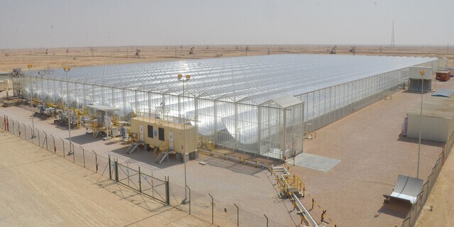 Case study thumbnail